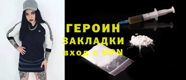 хмурый Аркадак
